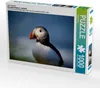 Calvendo Ein Motiv aus dem Kalender Beautiful Nature - Produktbild-Vorschau 1