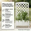 Mucola Rankgitter mit Pflanzkasten Spalier Blumenkasten Produktbild-Vorschau 11