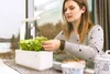 Click and Grow Mäta pieporná, kapsule so semenami a Náhľad obrázku produktu 6