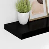 A black floating shelf with a potted plant and a framed picture on it, against a white wall. Anteprima dell’immagine prodotto