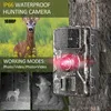 ZELURXX HD Wildkamera Jagdkamera Nachtsicht 1080p Produktbild-Vorschau 2