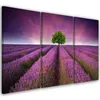Triptychon auf leinwand blumen - violett 60x40 cm Feeby Produktbild-Vorschau 1