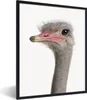 MuchoWow® Gerahmtes Poster Strauß - Tiere - Kinder - Jungen Produktbild-Vorschau 1