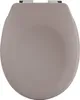 A top-down view of a closed toilet seat. Anteprima dell’immagine prodotto