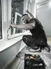 WERA Kraftform Kompakt F1 Schraubendreherset Fensterbauer Produktbild-Vorschau 8