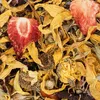 JR FARM Doplňkové krmivo Květinový ráj pro zakrslá králíčka Náhled obrázku produktu 3