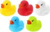 50er WELLGRO Badeenten Set – Gummienten Rubber Ducks für Produktbild-Vorschau 5