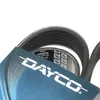 DAYCO Keilrippenriemen 1175,0mm für FIAT PANDA (169) Produktbild-Vorschau 3