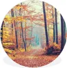 MuchoWow® Rundes Wandbild - Runde Bilder Wald - Herbst - Produktbild-Vorschau 1