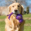 KONG® Wubba Classic, giocattolo per cani, 43 cm Anteprima dell’immagine prodotto 6