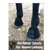 Hufglocken für Pferde Warmblut Kaltblut, Größe XL, Neopren Produktbild-Vorschau 3
