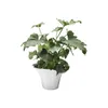 Georg Jensen BLOOM BOTANICA FLOWER POT, LARGE 222 MM, SS, Produktbild-Vorschau 2