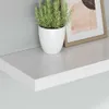 A white floating shelf with a potted plant and a framed picture on it, against a light gray wall. Anteprima dell’immagine prodotto