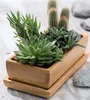 Blumenschale Blumentopf Untersetzer Sukkulenten 29 cm Produktbild-Vorschau 5