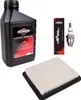 Wartungsset für Rasenmäher BRIGGS&STRATTON Quantum 625, Produktbild-Vorschau 2