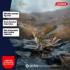 Donnervogel Voir les images du produit 16
