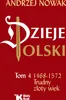 Dzieje Polski Tom 4 Trudny złoty wiek 1468-1572 Produktbild-Vorschau 3