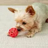 JW HOL-EE rullo MINI giocattolo per cani di piccola taglia Anteprima dell’immagine prodotto 6