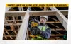Dewalt DCS369N-XJ Säbelsäge 2800 SPM Schwarz/Gelb Produktbild-Vorschau 14