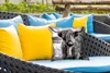 MuchoWow® Outdoor Kissen - Schottisches Hochlandrind - Produktbild-Vorschau 4
