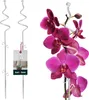 KOTARBAU® 2er Set Pflanzenstütze Transparent PVC 58 cm Produktbild-Vorschau 1