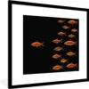 MuchoWow® Gerahmtes Poster Goldfisch - Tiere - Schwarz Produktbild-Vorschau 1