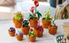Miniatúrne rastliny Náhľad obrázku produktu 22