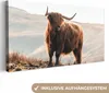 MuchoWow® - Leinwandbilder - Schottische Highlander - Tiere Produktbild-Vorschau 1