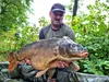 Tandem Baits Carp Food Perfection Mini Oil Hookers Hummer & Produktbild-Vorschau 2