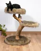 dobar Design-Kratzbaum "Jimmy" mit Naturstämmen und Produktbild-Vorschau 4