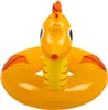 SUN CLUB Cercle gonflable Hippocampe 55 cm Voir les images du produit 4