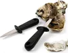Two oyster knives and oysters on a white background. Produktbild-Vorschau