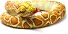A plush toy snake coiled on a white background. Produktbild-Vorschau