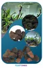 Aquarium Deko, Lavastein Vulkanisch poros Mix 24kg Produktbild-Vorschau 11