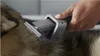 A hand is using a vacuum cleaner attachment to groom a dog's fur. Podgląd zdjęcia produktu
