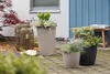 LECHUZA-Pflanzgefäß CLASSICO Color 28 Sandbraun | Produktbild-Vorschau 16