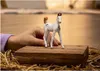 Schleich 14896 - Poulain Marwari - Horse Club Voir les images du produit 5