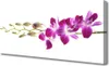 Tulup Leinwand-Bilder 125x50 Wandbild Canvas Kunstdruck Produktbild-Vorschau 1