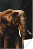 MuchoWow® Poster Elefant - Schwarz - Farbe 40x60 cm - Produktbild-Vorschau 1