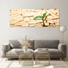Bilder auf glas - Wüste Erde Umwelt - 140x50cm - Glasbilder Produktbild-Vorschau 7