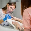 JCMaster® 100x prémiové brusné návleky, brusné pásy hrubé Náhled obrázku produktu 8
