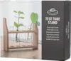 Esschert Design AGG134, Válcová váza, Borovice, Sklo, Náhled obrázku produktu 7