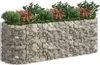 vidaXL Gabionen-Hochbeet Verzinktes Eisen 300x100x100 cm Produktbild-Vorschau 3