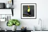 MuchoWow® Gerahmtes Poster Tukan im Regen 40x40 cm - Poster Produktbild-Vorschau 4