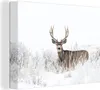 MuchoWow® - Leinwandbilder - Hirsche - Winter - Schnee - Produktbild-Vorschau 1