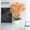 Lacers SmagragdLine Pflegeleichte Orchidee mit Topf orange Produktbild-Vorschau 2