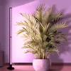 Rostlinná lampa LED Vertikální stojící rostliny Rostoucí Náhled obrázku produktu 10