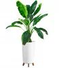 Prosperplast Blumentopf | Gracia Tubus Slim | Weiß | 24 cm Produktbild-Vorschau 8