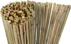 Bambusmatte Budget Natur 180 x 100 cm Produktbild-Vorschau 2