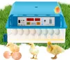 Peviasot 64 Egg Fully Automatic Incubator – Egg Turner, Produktbild-Vorschau 1